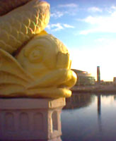 Fish gargole on Queen's Bridge in Belfast