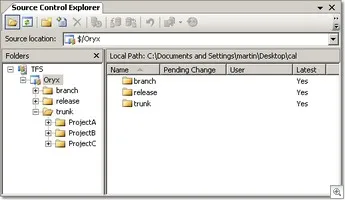 Folder Structure in Team Foundation Server Version Control