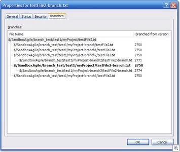 Understanding the Branches Tab