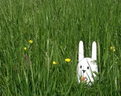 Brian the Build Bunny Backgrounds
